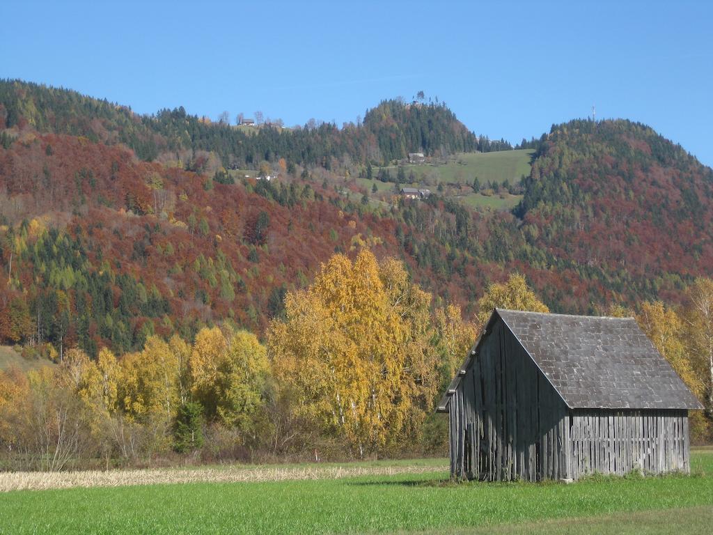 Haus Moser Wörschach Buitenkant foto